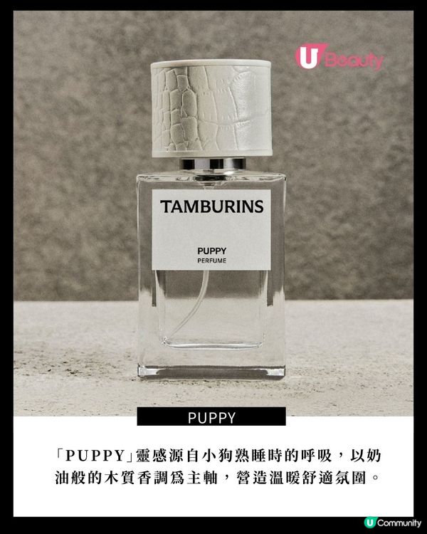 牽小狗登場！Felix X TAMBURINS！最新系列開售
