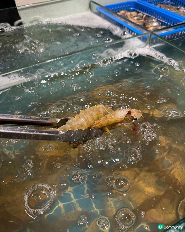 邊爐放題有賴尿蝦、芭菲、焦糖燉蛋、心太軟😆