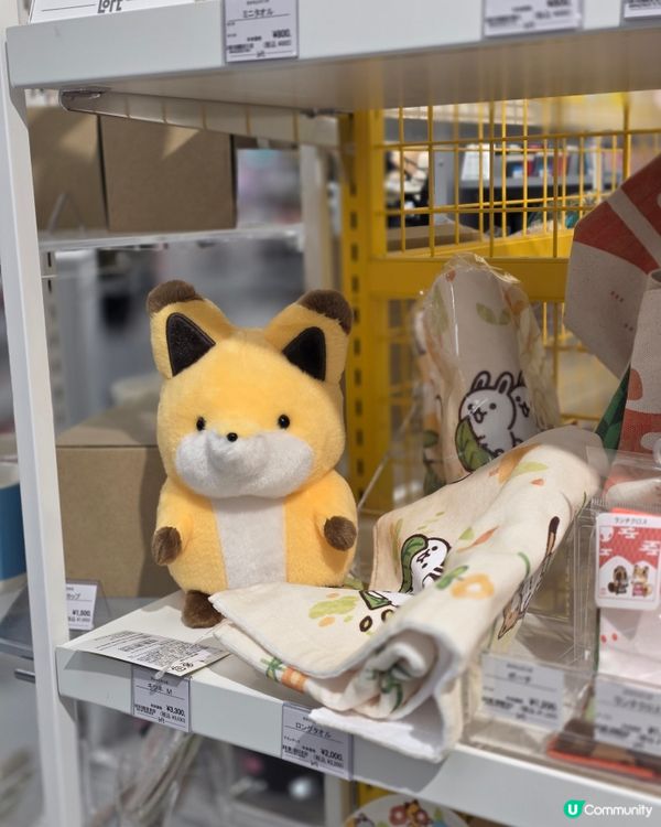 🇯🇵日本Loft限定雜貨🩷