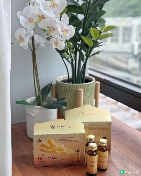 萬順昌花膠原！3週逆齡🤩！飲出彈滑肌！✨