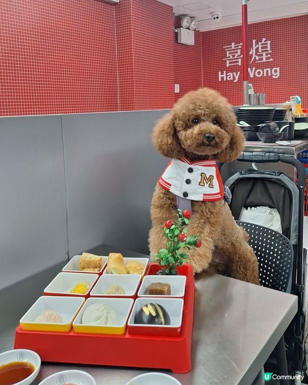 四色雪糕+懷舊戲院+地鐵站主題 ！打卡飲茶😋📸