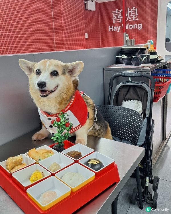 四色雪糕+懷舊戲院+地鐵站主題 ！打卡飲茶😋📸