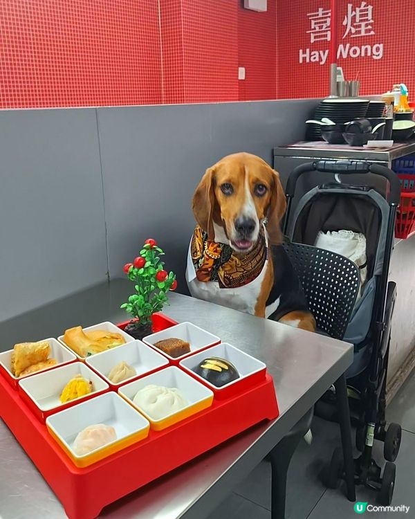 四色雪糕+懷舊戲院+地鐵站主題 ！打卡飲茶😋📸