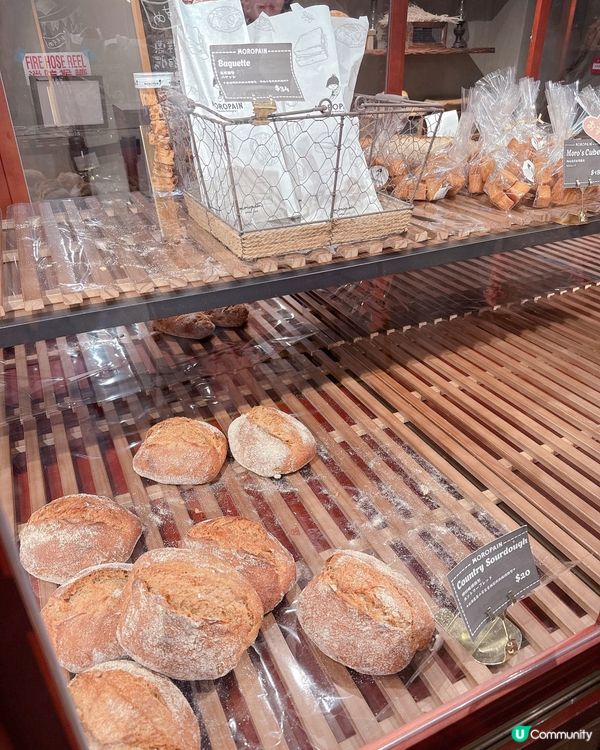 尖咀掃街！新開麵包店🤤 蛋撻必試！🥐