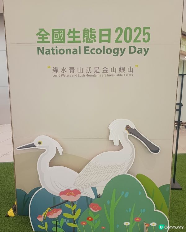 荃灣專題展覽🌾有打卡位❗仲有四格即影即有❗