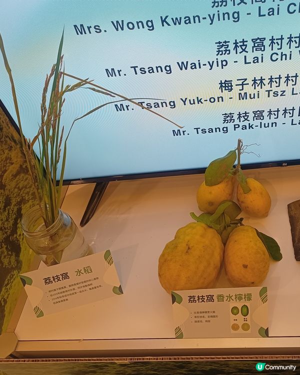 荃灣專題展覽🌾有打卡位❗仲有四格即影即有❗