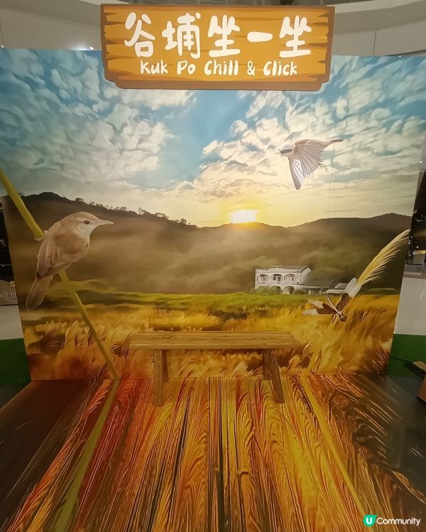 荃灣專題展覽🌾有打卡位❗仲有四格即影即有❗