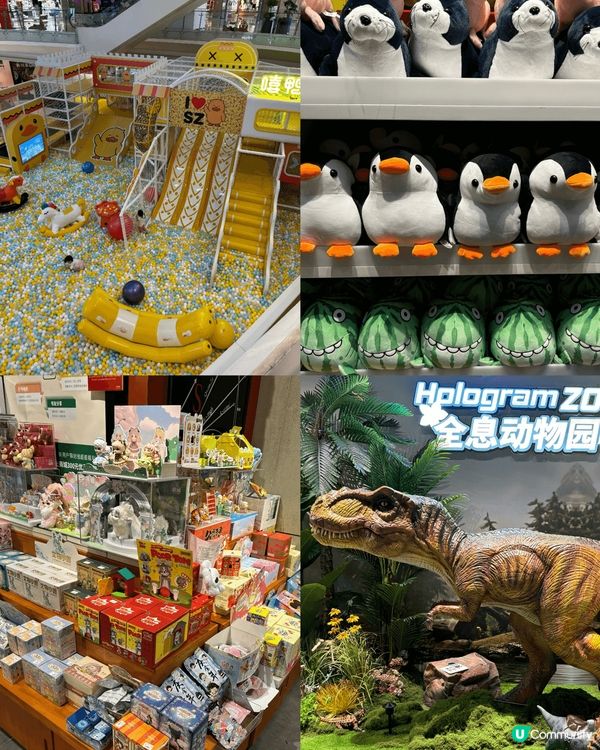 週末同家人去了深圳歡樂海岸🛳️,真係玩到唔捨得走!呢度集購物...