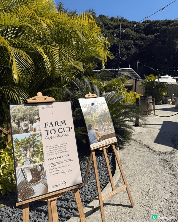 放假梅窩曬太陽☀️！中環船去，躺平hea爆！😎