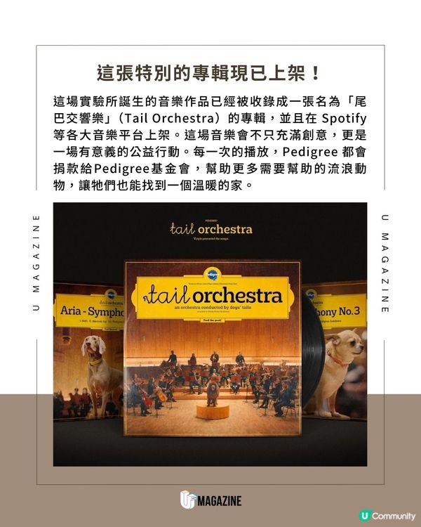 狗狗成音樂大師指揮整個樂團！打造了一場「尾巴交響樂」更出版專輯