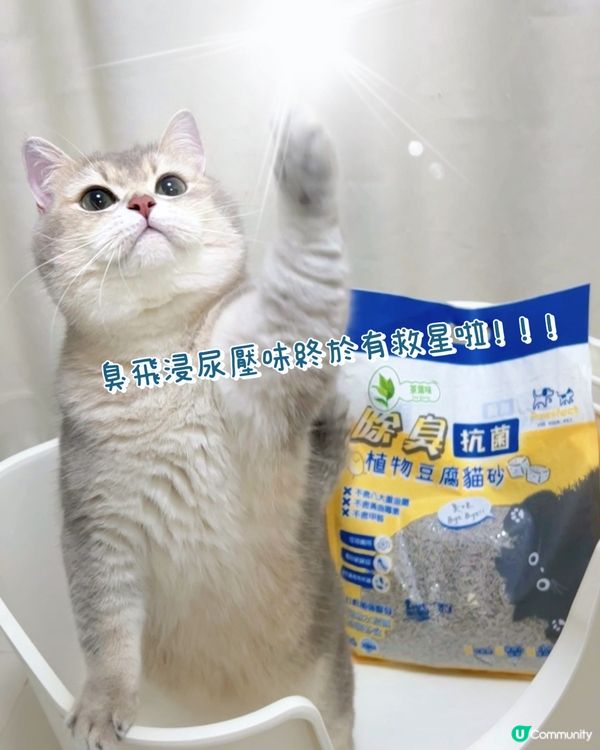 貓仔發情尿壓味🤢？除臭神器幫到你！