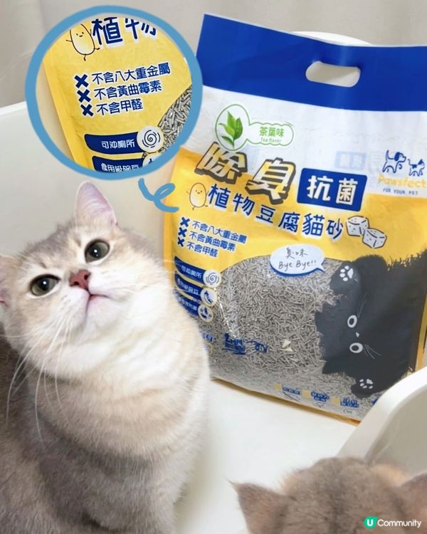 貓仔發情尿壓味🤢？除臭神器幫到你！