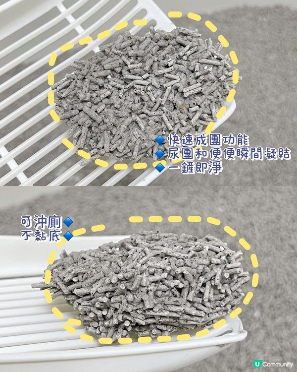 貓仔發情尿壓味🤢？除臭神器幫到你！