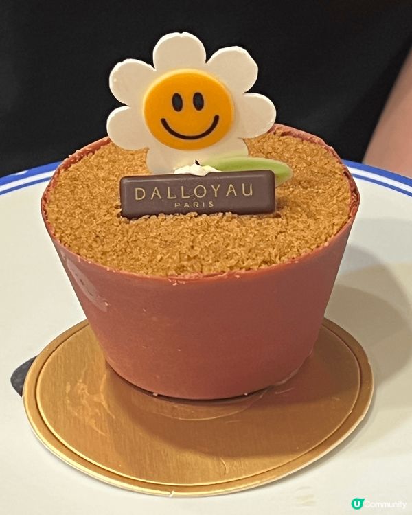 呢個Dalloyau 花盆樣嘅木糠布甸真係好cute 🤣 雖...