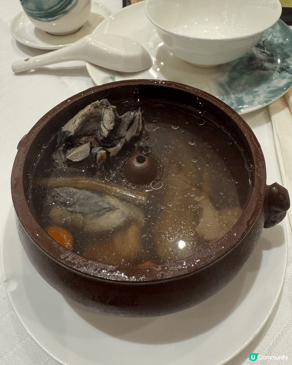 屋企人生日飯，去咗元朗Yoho Mall翠園食，呢個12人餐...