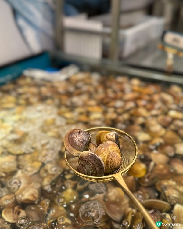 【九龍灣｜人氣大熱嘅生猛海鮮火鍋放題】