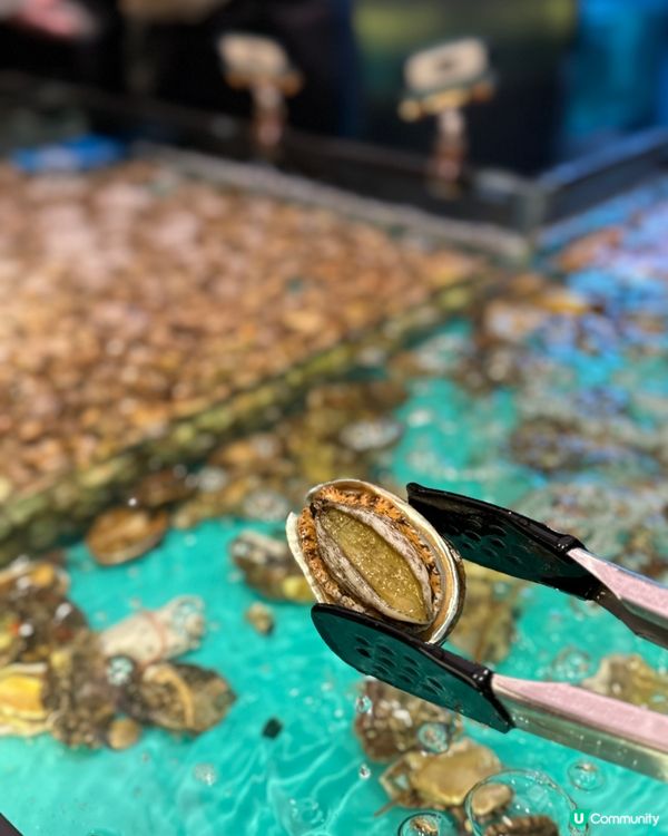 【九龍灣｜人氣大熱嘅生猛海鮮火鍋放題】