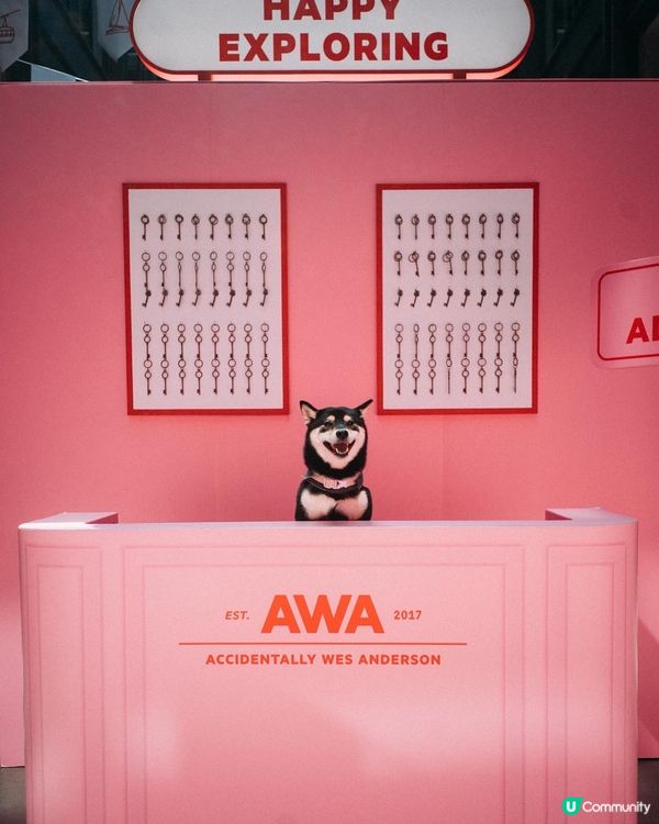 Accidentally Wes Anderson展覽