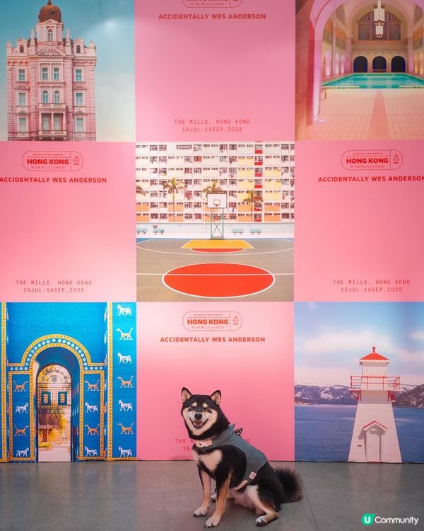 Accidentally Wes Anderson展覽