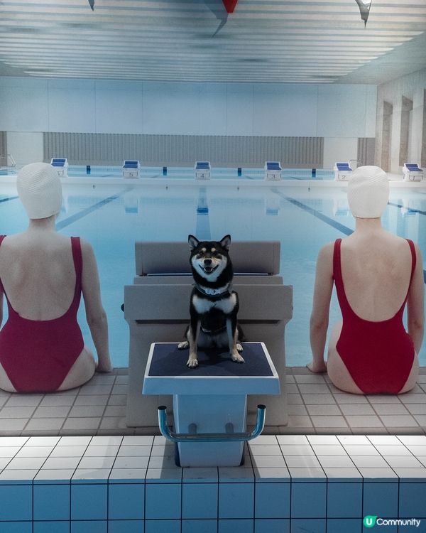 Accidentally Wes Anderson展覽