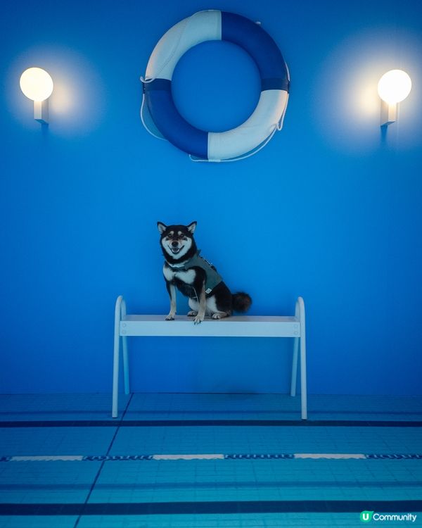 Accidentally Wes Anderson展覽