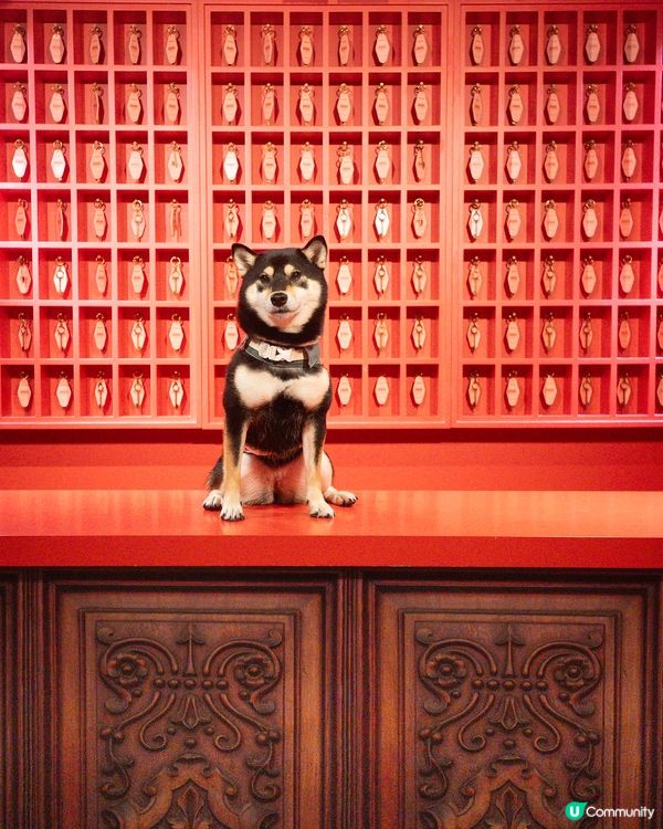 Accidentally Wes Anderson展覽