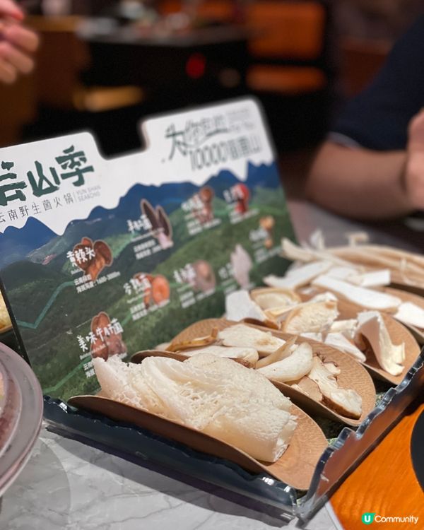 雲山季火鍋🤤！深圳食菌鍋之旅🍄！