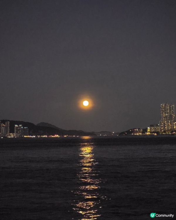 紅磡海濱花園賞月🌕！維港靚景任你睇🤩！