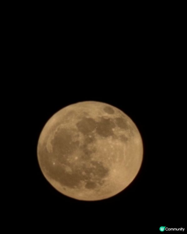 紅磡海濱花園賞月🌕！維港靚景任你睇🤩！