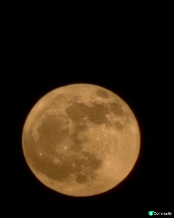 紅磡海濱花園賞月🌕！維港靚景任你睇🤩！
