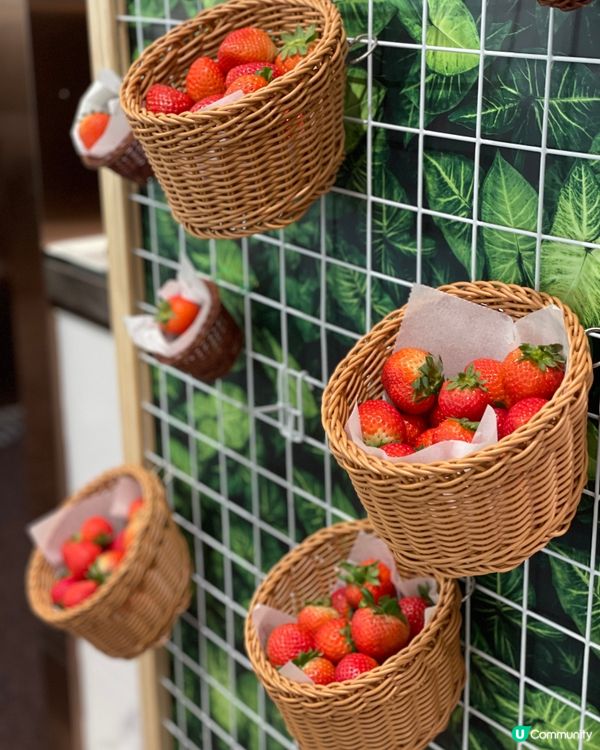 士多啤梨牆＋花果甜點＝視覺與味覺的雙重療癒