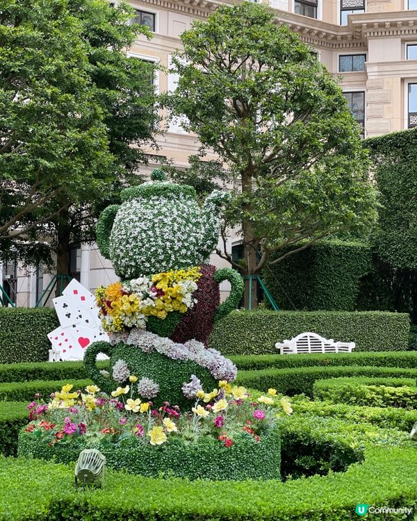 澳門自助餐天花板，我認了！