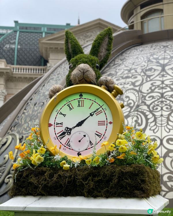 澳門自助餐天花板，我認了！