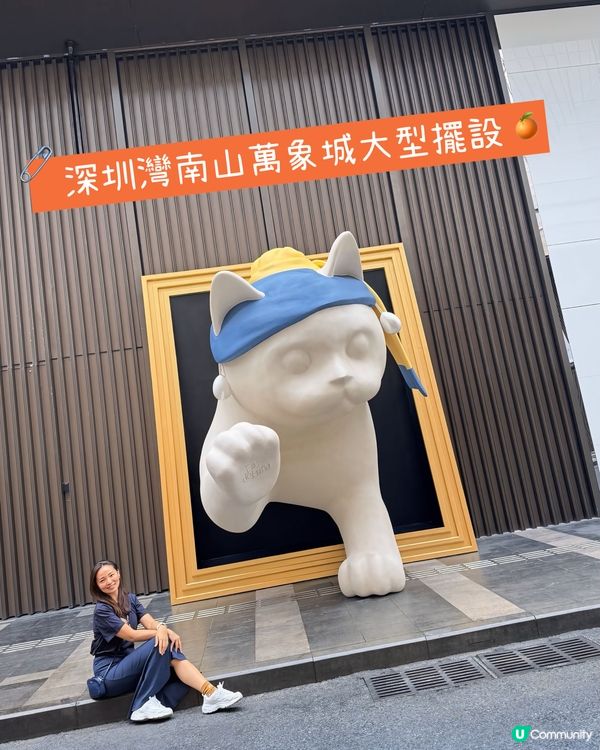 深圳灣貓貓王國藝術展覽