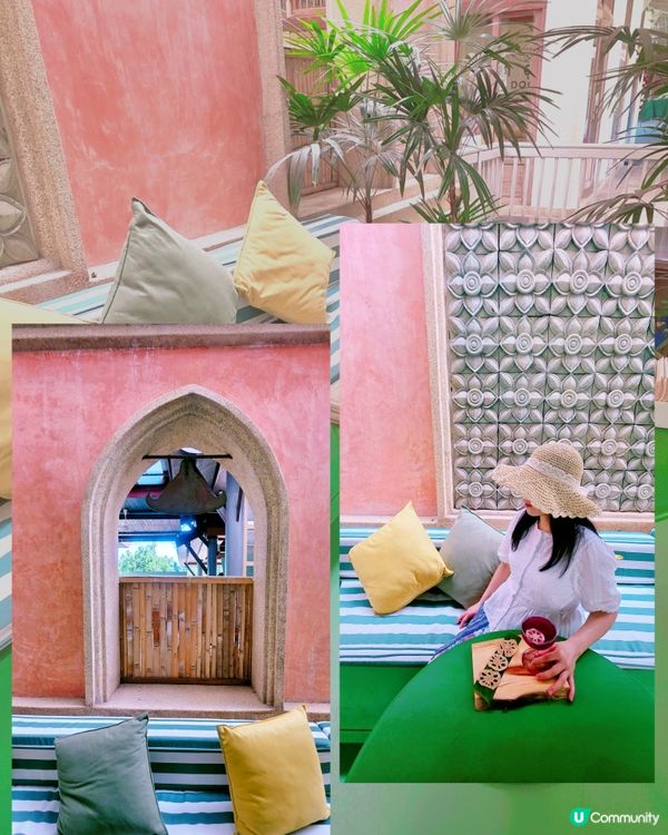 航拍荷花池📸美食，打卡，按摩，大自然 😍