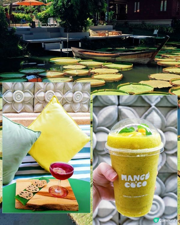 航拍荷花池📸美食，打卡，按摩，大自然 😍