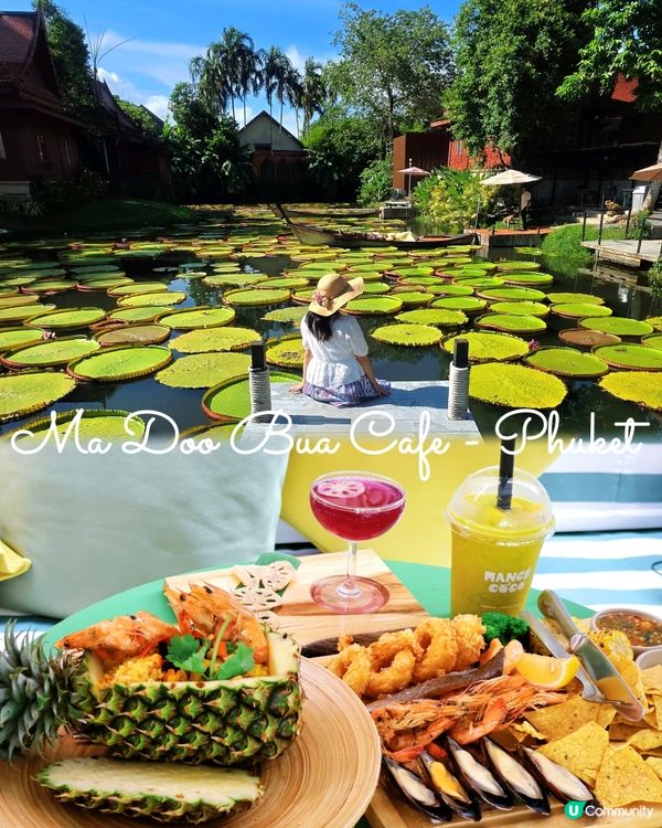 航拍荷花池📸美食，打卡，按摩，大自然 😍