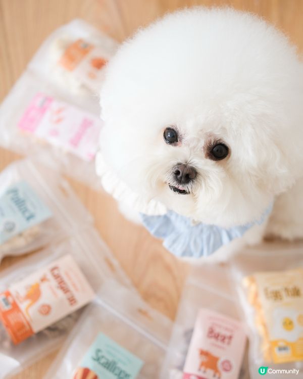 估下咩嚟？🤤 寵物零食大放送！