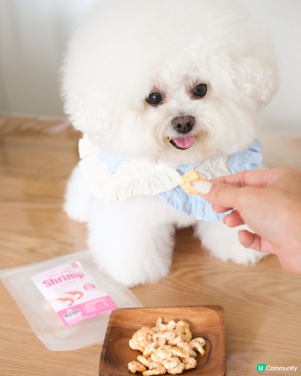 估下咩嚟？🤤 寵物零食大放送！