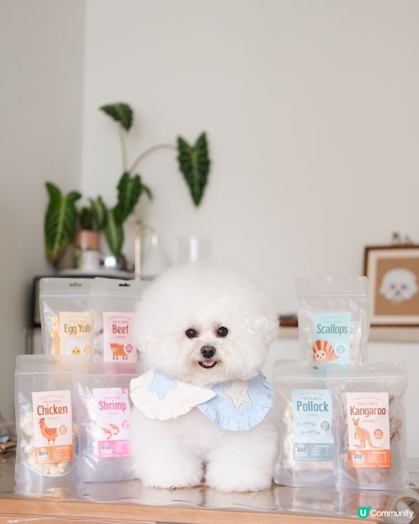 估下咩嚟？🤤 寵物零食大放送！