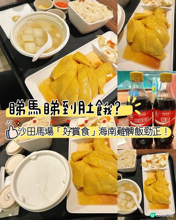 沙田馬場開鑼日！🤤海南雞飯超正！🐔🍚