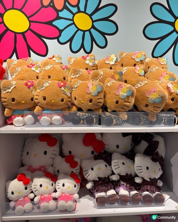 Sanrio 夢幻星舞巡遊！🤩🎉