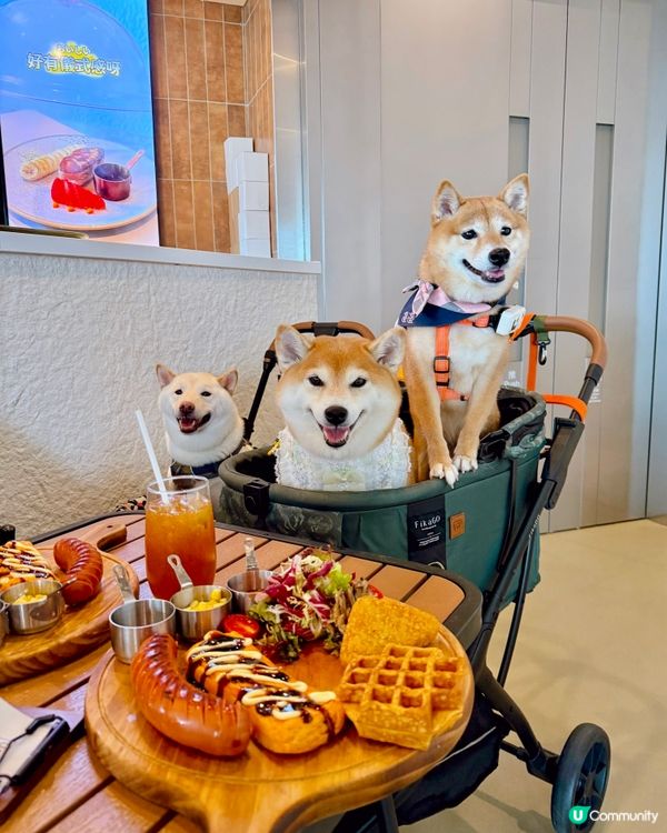 帶狗狗食西日式料理