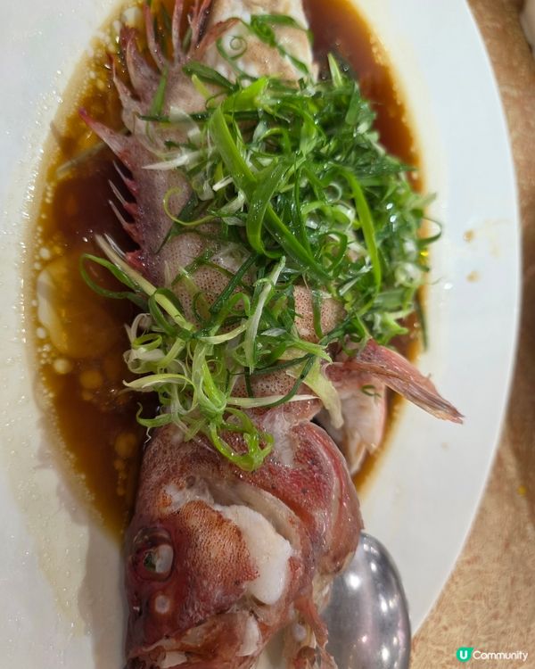 抵食北京片皮鴨