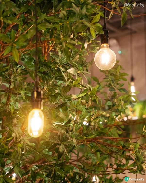 啟德新泰菜！玩香港少見嘅泰國食材?!🌿🍅 