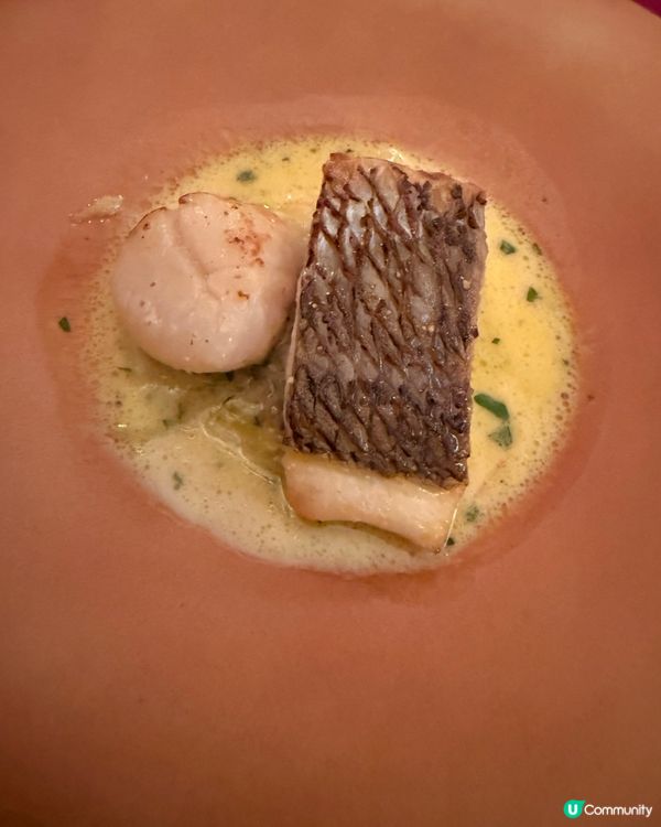 ［東京美食］東京迪士尼海洋麥哲倫餐廳🤩！高級法國菜🤤！