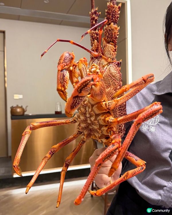 1.  廣州美食大放送！🤤 火鍋🍲鮑魚飯😋宵夜🤤 必食！