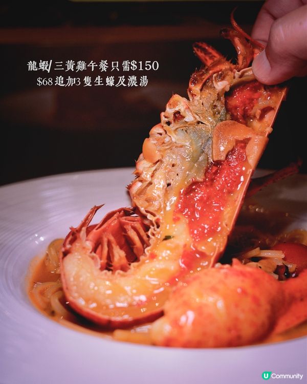 銅鑼灣抵食午餐！龍蝦意粉必試😋！$88起！