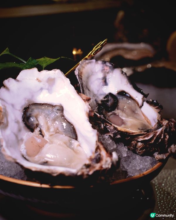 銅鑼灣抵食午餐！龍蝦意粉必試😋！$88起！