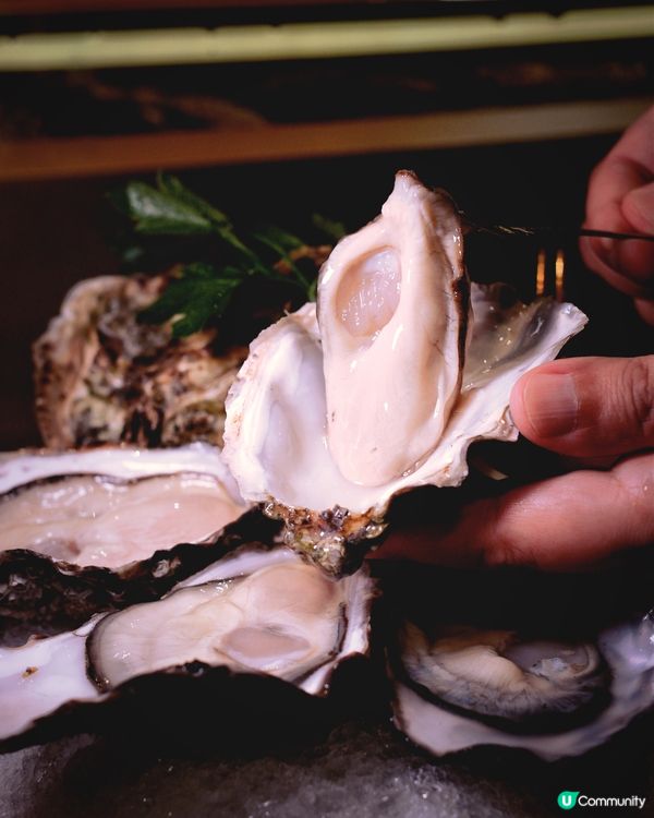 銅鑼灣抵食午餐！龍蝦意粉必試😋！$88起！